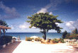 View to the sea, Barbados